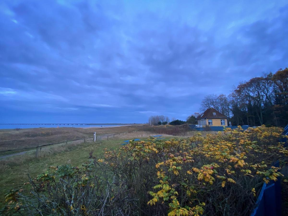 Skaerven Beachfront Apartments And Cottage Nyborg község Kültér fotó